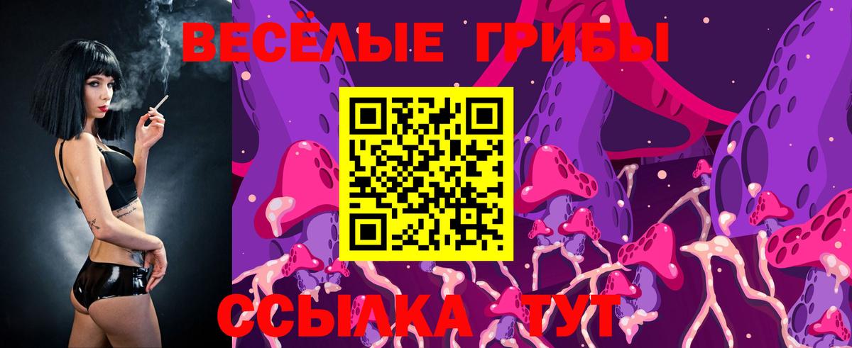 Дзержинский  Псилоцибиновые грибы Cubensis  Вход с VPN  Псилоцибиновые грибы мухоморы 